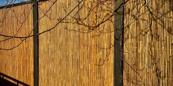 Under en klar blå himmel står et højt hegn sammensat af lodrette bambusstænger og mørke metalstøtter, der ligner Bambus Måtter. Skyggerne af bladløse trægrene kastes mod bambusen og danner et indviklet mønster af linjer og former på hegnets overflade.