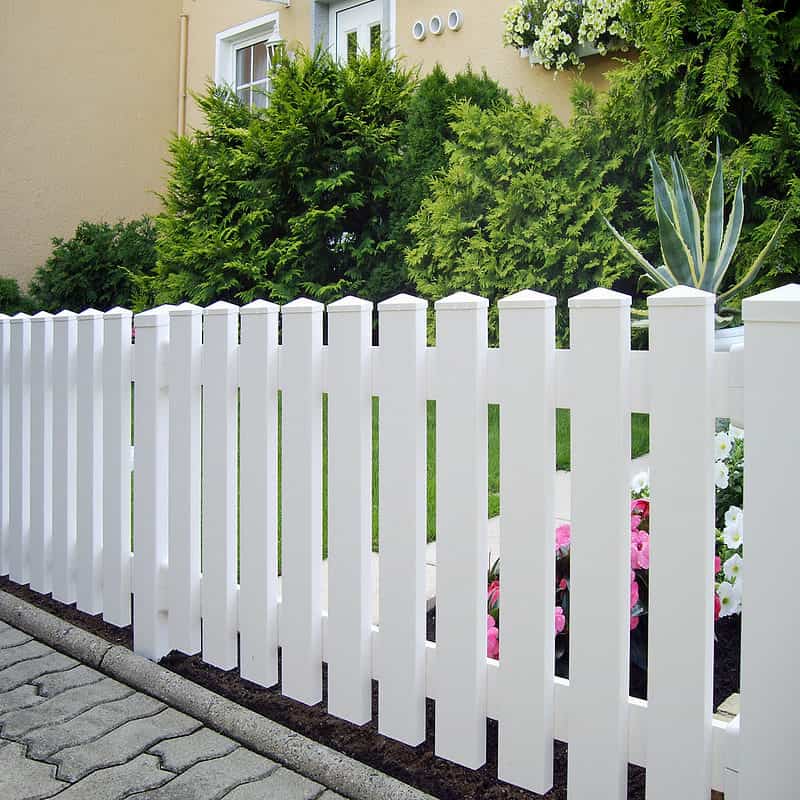 Et Stakithegn i Plast "PROFEXline" 180x80cm (LIGE) hvidt stakit hegn kanter kanten af en pænt anlagt have med grønne buske og blomstrende blomster. Et beige hus er i baggrunden, og en stenbelagt gangbro løber parallelt med hegnet.