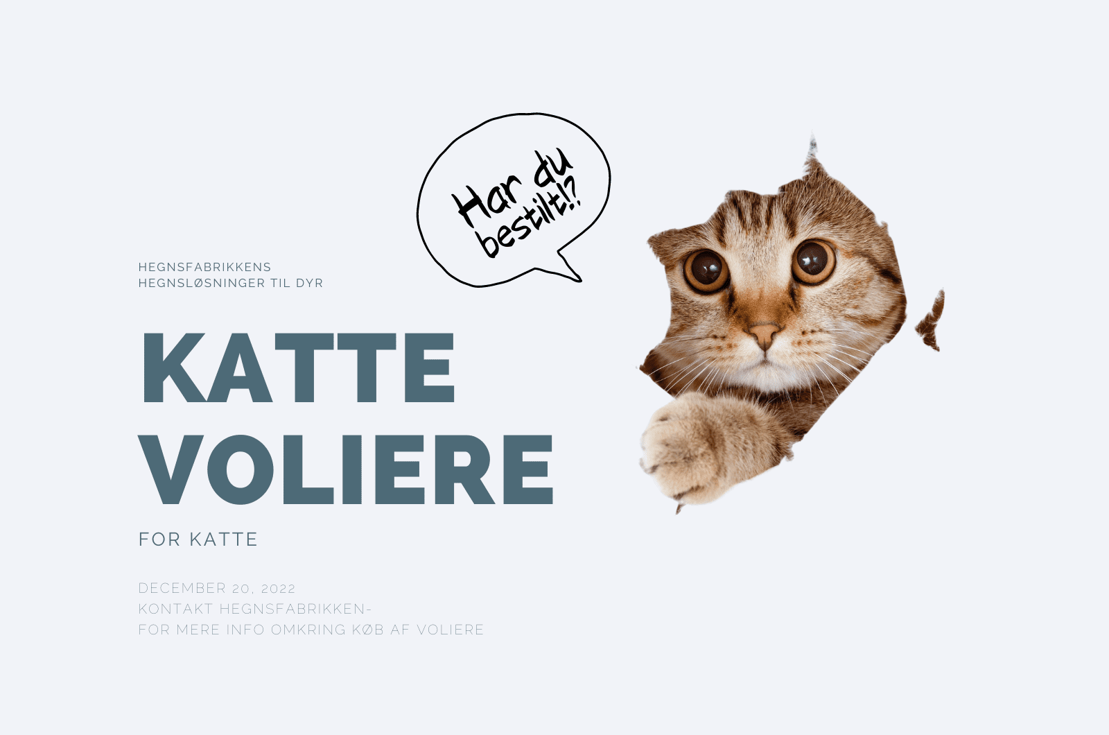 En annonce med et legende billede af en kat, der springer gennem iturevne papir, sammen med tekst på dansk, der lyder "Kattele Voliere" og "Har du bestilt?" Fremhæver fordelene ved vores kattehegn. Yderligere oplysninger om at kontakte for flere detaljer er inkluderet.