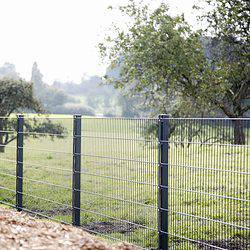 Et Panelhegn 2D EXTREME 8/6/8 mm metaltrådshegn står på en mark med grønt græs og spredte træer i baggrunden. Himlen er overskyet, og træspåner er synlige i forgrunden, hvilket tyder på naturlige eller landbrugsmæssige omgivelser.