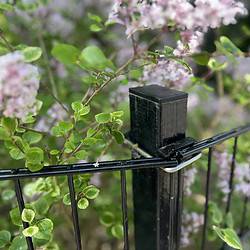 Et nærbillede af en Stolpe Stål 60x40mm Pulverlakeret Sort RAL 9005 metal hegnspæl med sart lyserøde og hvide blomster flettet sammen gennem ledningerne. Frodige grønne blade giver en levende baggrund og skaber en rolig og naturlig scene omkring posten.