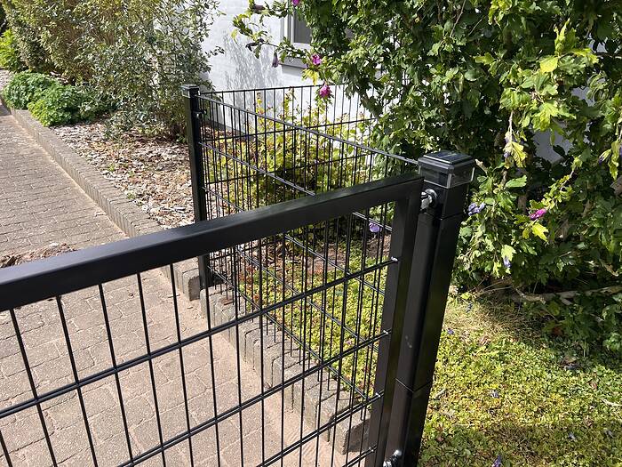 Et sort Panelhegn 2D STANDARD 6/5/6 mm metalhegn, udformet som et panel med en åben port, står ved siden af et fortov og grønne buske, der fører hen mod en bygning med hvide vægge. Her og der ses lilla blomster blandt det grønne.