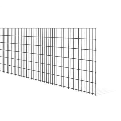 En stor, rektangulær Panelhegn 2D STANDARD 6/5/6 mm mod hvid baggrund. Panelhegn er sammensat af et gitter af vandrette og lodrette ledninger, der danner jævnt fordelte firkantede åbninger overalt.