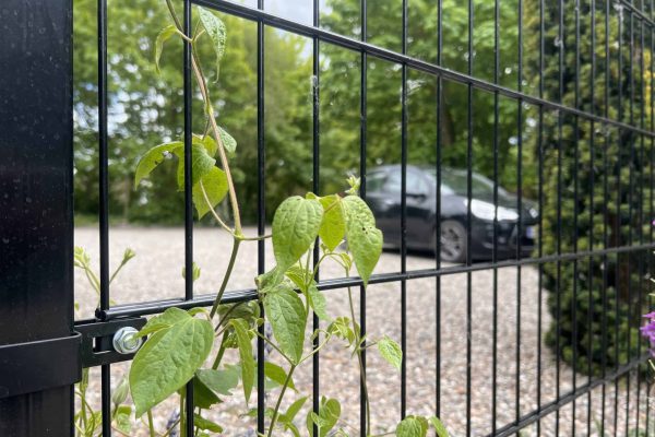 En grøn slyngplante klatrer op ad en Metallåge 2D Panelfyld 6/5/6mm Sort Ral 9005 Komplet i forgrunden, med en sløret grå bil på en grusindkørsel og grønne træer i baggrunden.