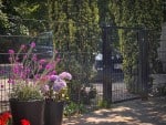 En havelåge og et hegn i sort metal med høje grønne buske bagved; en sort bil kan ses gennem hegnet. I forgrunden er der lilla og pink blomster i sorte potter på en stenterrasse.