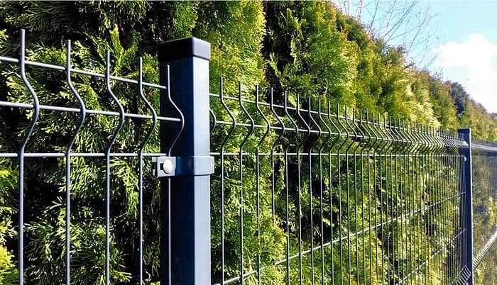 Et nærbillede af et sort metalhegn, der løber langs en frodig, grøn hæk. Hegnet har lodrette og vandrette tråde med et bølget mønster i toppen. Kraftig dagslys oplyser scenen og fremhæver det livlige løv og robuste konstruktion af Mellemstolpe Beslag 60x40mm til Panelhegn Sort RAL 9005 (Designserie).