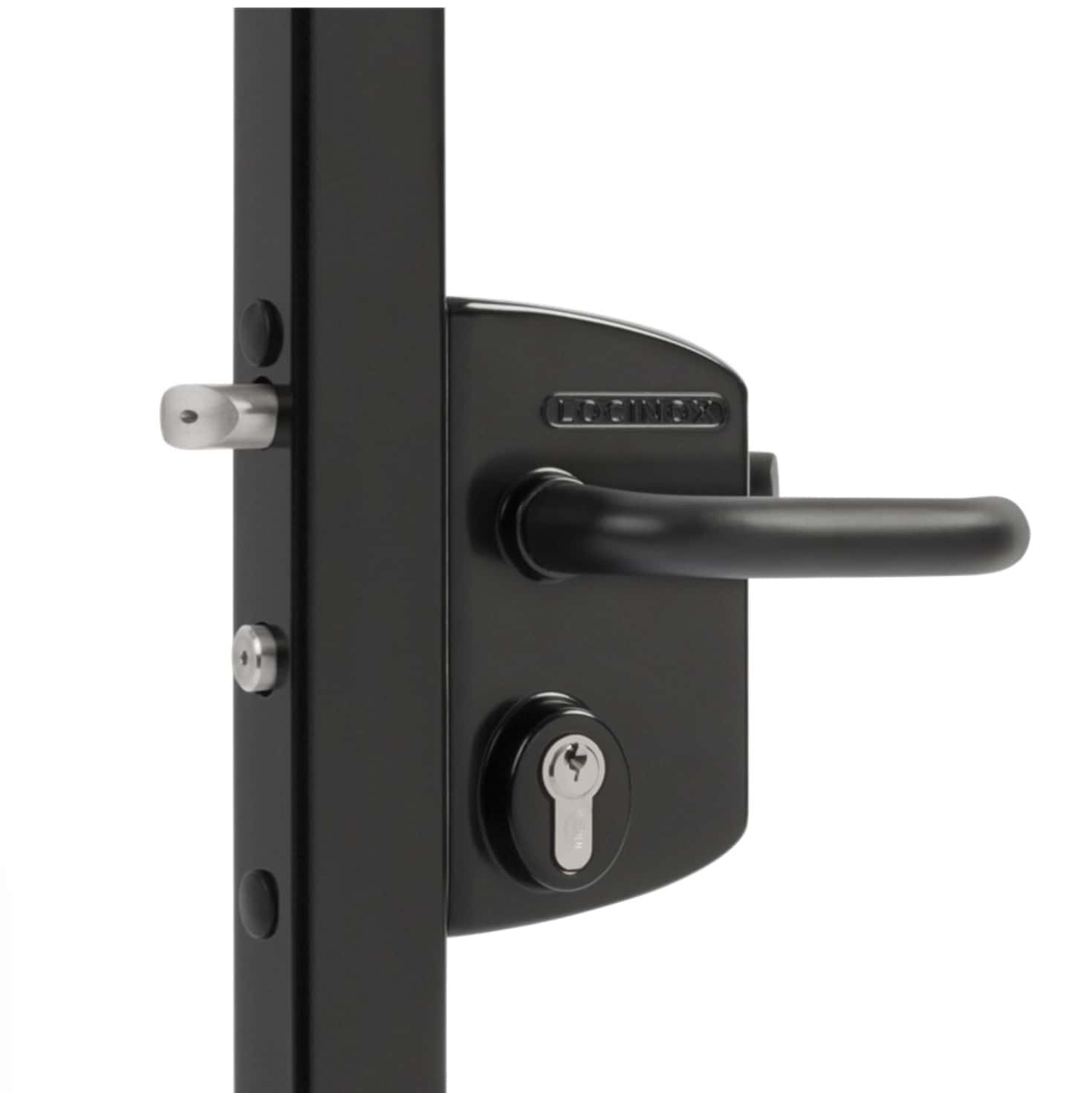 Et nærbillede af en Pulverlakeret Sort overflademonteret låsekasse med buet håndtag, nøglehul og fremspringende metallås. Det slanke design antyder en moderne eller moderne stil, og det fremhævede nøglehul indikerer, at det er en nøglelås fra Locinox.