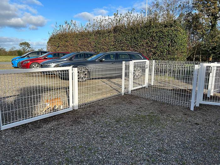 Et lille, indhegnet hundehus med en Corgi liggende indeni, omgivet af Panelhegn 3D 5/5mm - HF PREMIUM Pulverlakeret Hvid RAL 9010. Ud over hegnet har en grusparkering flere biler i blåt, rødt og sølv. I baggrunden er der en høj hæk under en klar blå himmel med enkelte skyer.