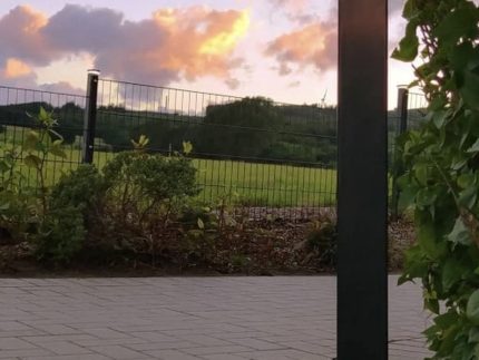 En sort lodret udendørs lysarmatur, såsom ZQUARE LED-Lys stolpehat til hegnsbelysning med metalstolper, står på en brolagt gangbro ved siden af en have med buske og vinstokke. I baggrunden er en græsmark og hegn oplyst under en himmel med orange skyer ved solnedgang.