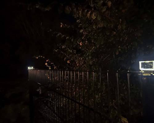 En svagt oplyst nattescene viser et metalhegn oplyst af en lille Solcelledrevet LED-lampe til Hegnsstolper. Tæt løv ses i baggrunden, og et skilt, der muligvis måler 60x40, ses svagt i det fjerne.
