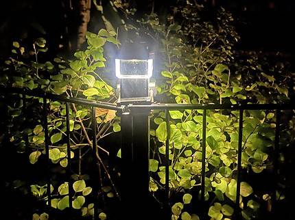 En lys Solcelledrevet LED-lampe til Hegnsstolper oplyser en mørk have om natten, dens glød kaster lys på de grønne blade og skaber en fantastisk kontrast mod det omgivende mørke. Et 60x40 metalhegn er synligt i forgrunden, hvilket fuldender denne fredfyldte natlige indstilling.