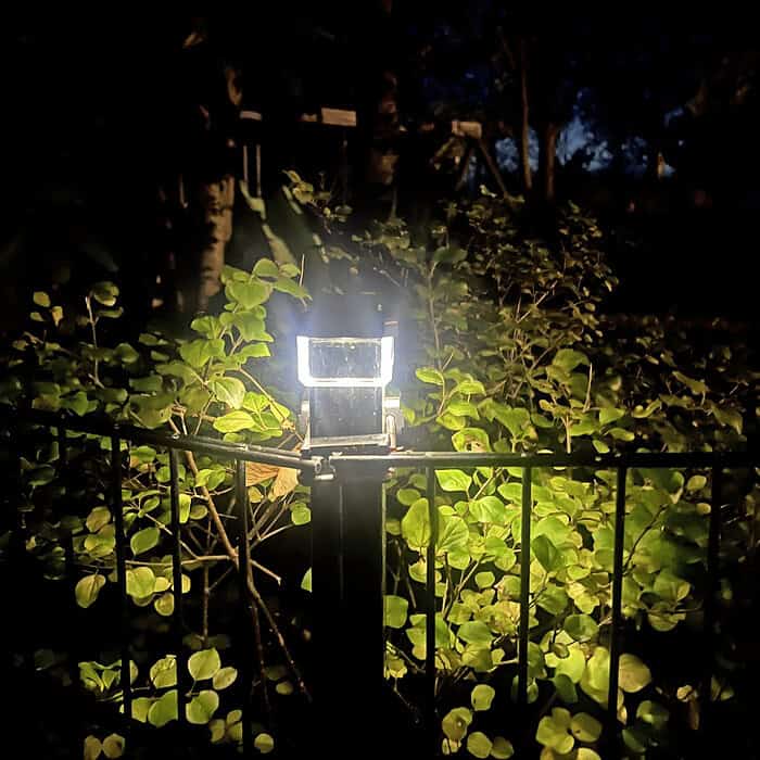 En lys Solcelledrevet LED-lampe til Hegnsstolper oplyser en mørk have om natten, dens glød kaster lys på de grønne blade og skaber en fantastisk kontrast mod det omgivende mørke. Et 60x40 metalhegn er synligt i forgrunden, hvilket fuldender denne fredfyldte natlige indstilling.