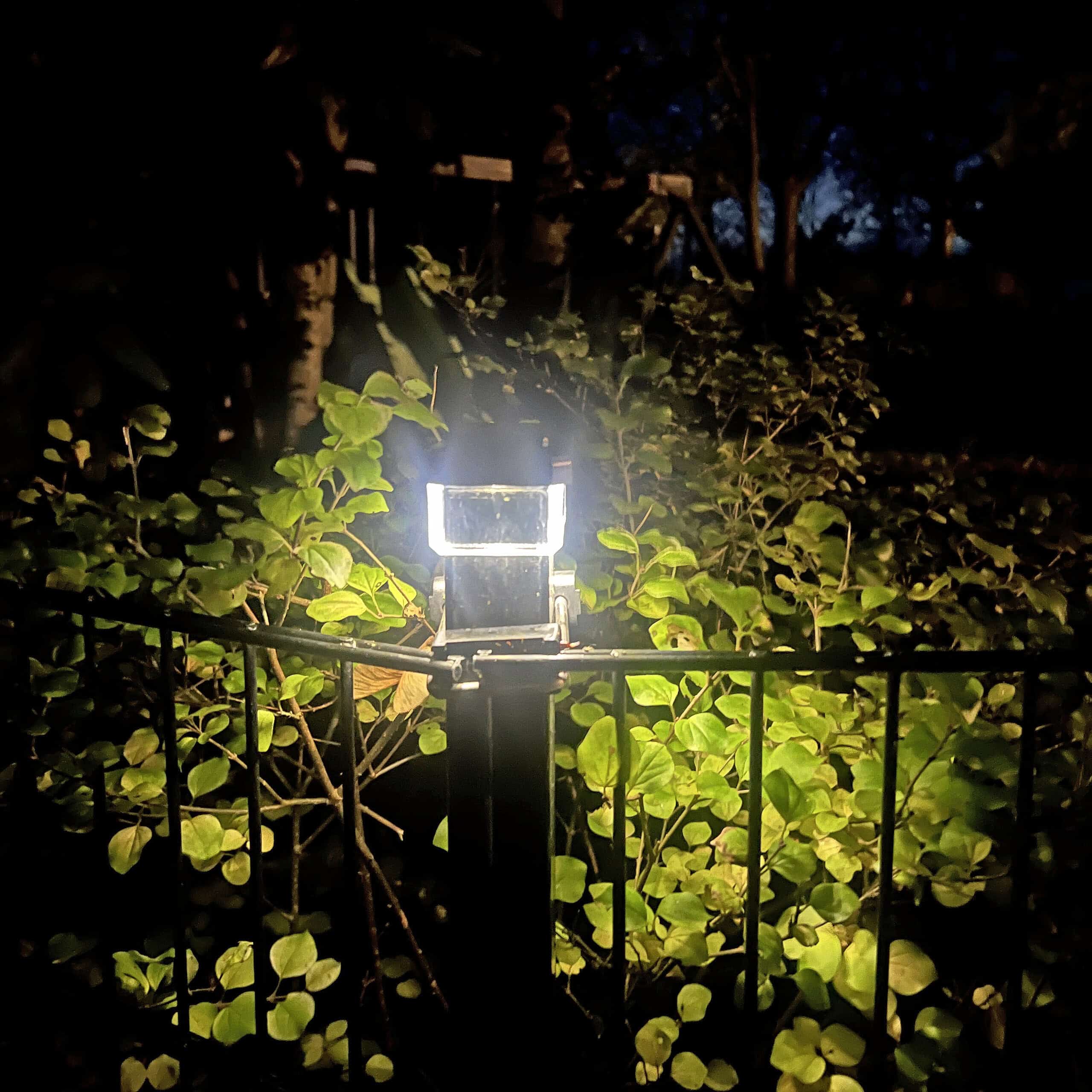 En lys Solcelledrevet LED-lampe til Hegnsstolper oplyser en mørk have om natten, dens glød kaster lys på de grønne blade og skaber en fantastisk kontrast mod det omgivende mørke. Et 60x40 metalhegn er synligt i forgrunden, hvilket fuldender denne fredfyldte natlige indstilling.
