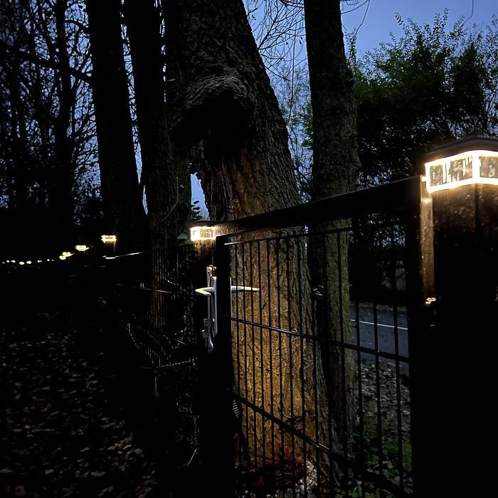 I skumringen oplyser en serie blødt lysende lys fra Stolpehat - Solcelledrevet LED-lampe til Hegnsstolper et metalpanelhegn. Den subtile belysning fremhæver hegnet, der løber langs høje træer i et skovområde, med nedfaldne blade spredt på jorden. Den mørkere himmel tyder på tidlig aften.