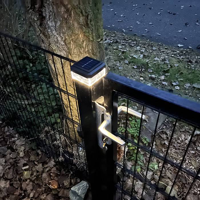 En sort metallåge med sølvhåndtag er sømløst integreret i panelhegn-hegnet. Stolpehat - Solcelledrevet LED-lampe til Hegnsstolper, et solcelledrevet lys, er monteret på porten, som giver belysning til området. I nærheden står et træ med en ru stamme yndefuldt, med bunden dækket af nedfaldne blade.