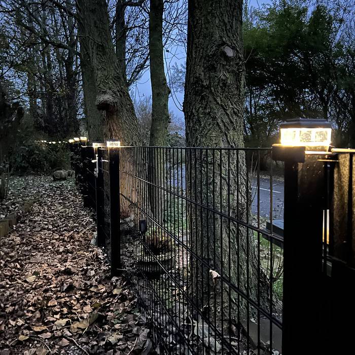 En række Stolpehat solcelledrevne LED-lys, designet til hegnspæle, oplyser bladene på jorden. Scenen foregår i et skovklædt område i skumringen med træer i silhuet mod den dæmpede himmel i baggrunden.