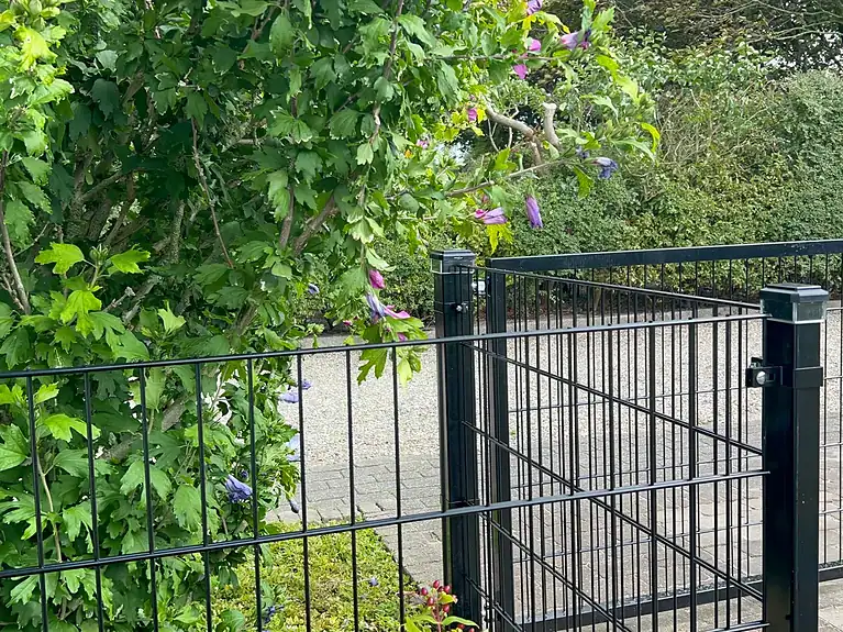 Sort 2D-panelhegn mellem blomstrende buske