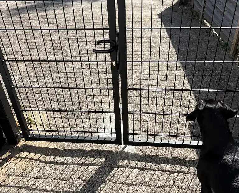 Sort dobbeltlåge med 2D-panelfyld og en hund ved lågen